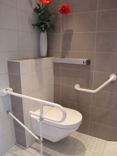 WC Handicapés à Lyon